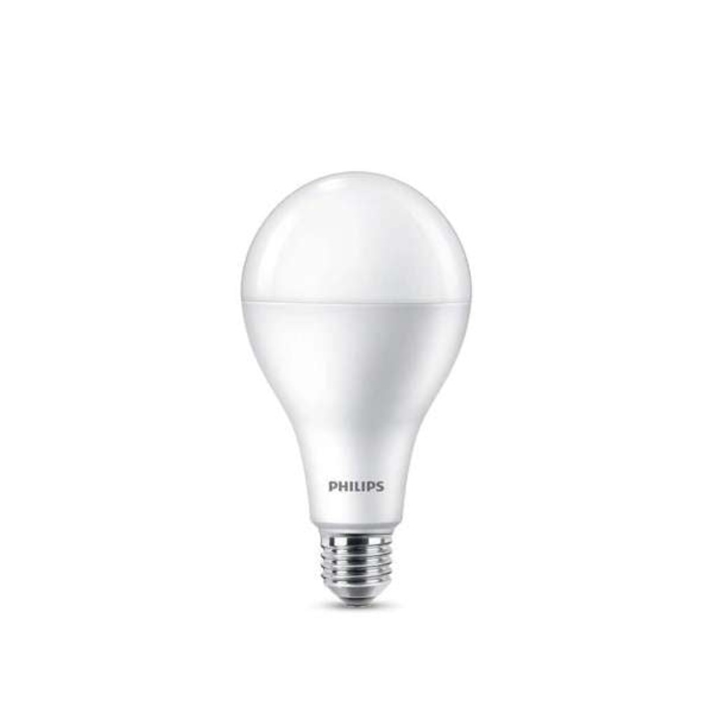 Philips LED Globe 19W ES Cool Daylight